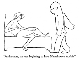 Schmalhausen trouble